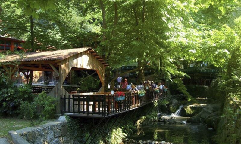 Sapanca, Masukiye and Zoo Tour 3 Sapanca, Masukiye and Zoo Tour
